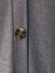 54943040ed9e4f36adcdc1bbf018f932-Max-Origin